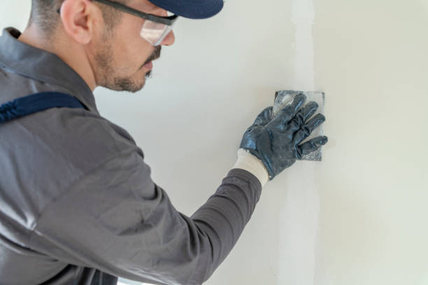 Best Custom Drywall Patching  in USA