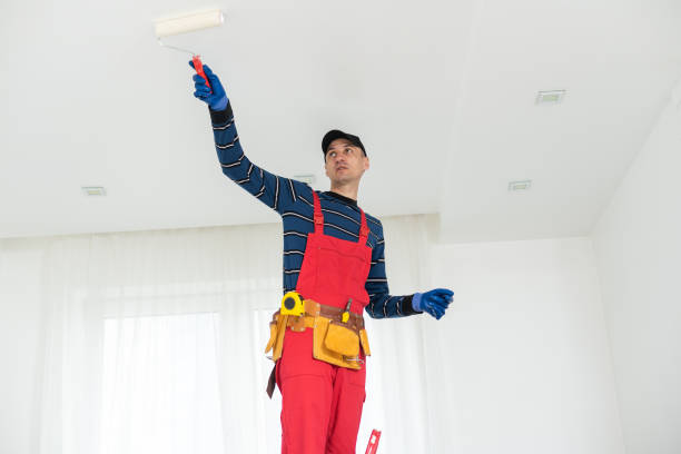 Best Commercial Painting Services  in USA